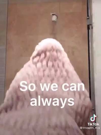 Why the hell is this on my feed