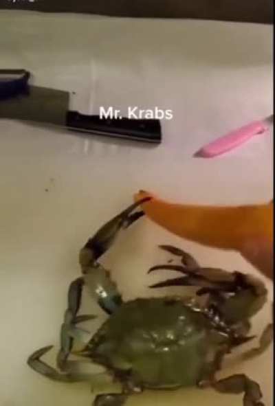 Mr krabs