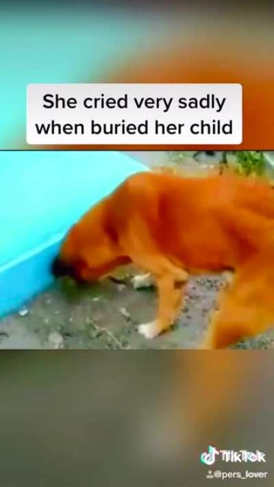 So sad.