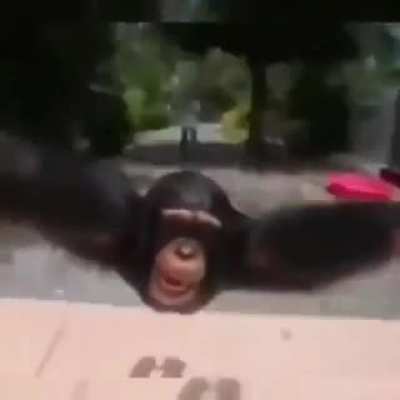 Enjoy