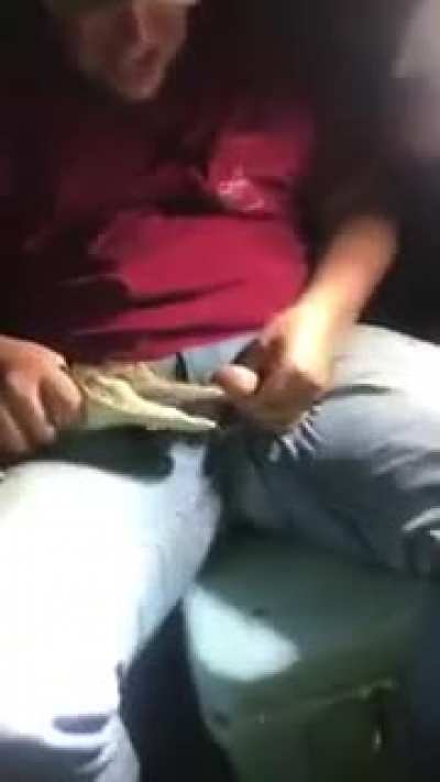 HMB while I let this baby alligator bite me.