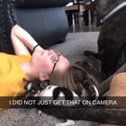 Perfectly cut yelp