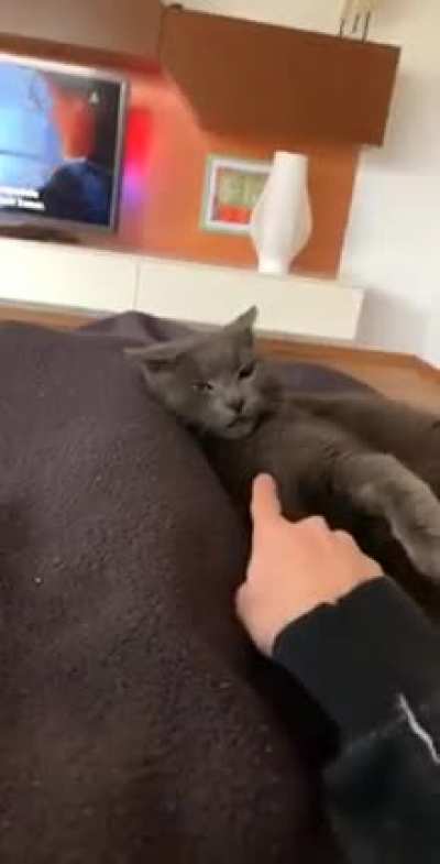 Poke the beast and you get... a perfectly cut scream?