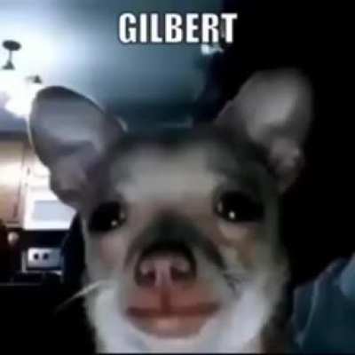 Eu posso estar enganado, mas esse Gilbert é muito bacana.