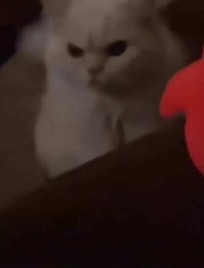 😾😡