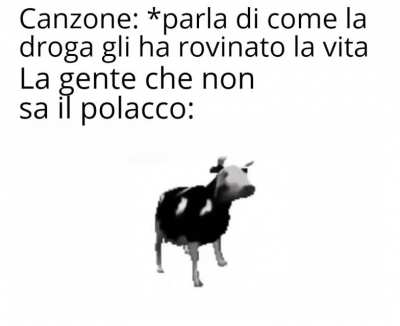 Per polacchi