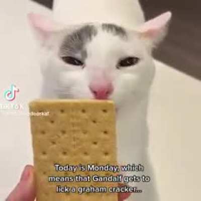 Cats stolen from r/196 be like