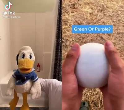 Green or purple