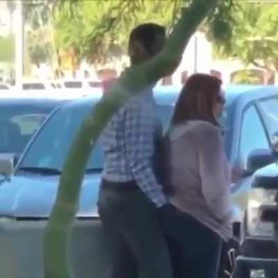 Public gettin freaky
