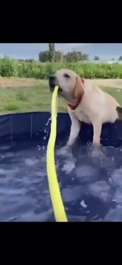 Such a graceful boy.