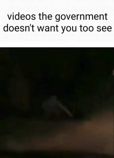 scawy