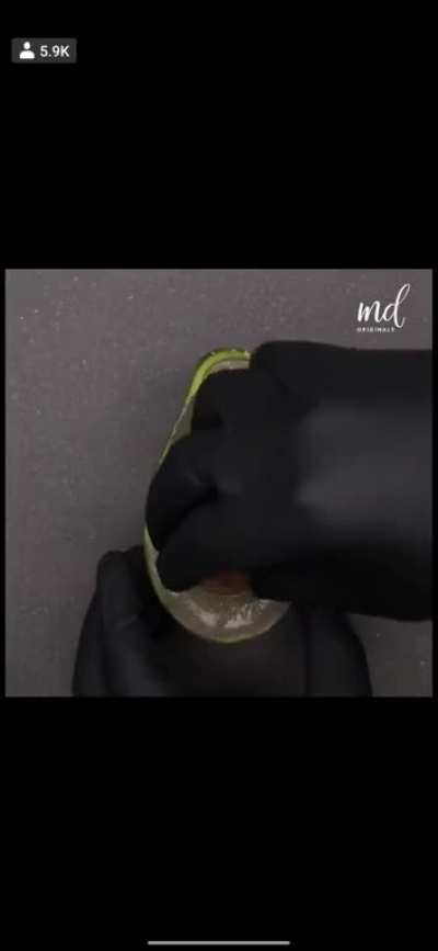 Eggvacado