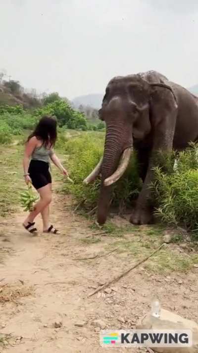 Beauty and The Beast Part 3: Fuck That Ho'