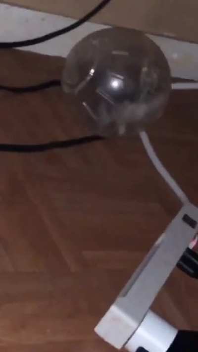 Hamster ball stuck