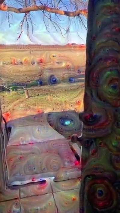 shrooms?
