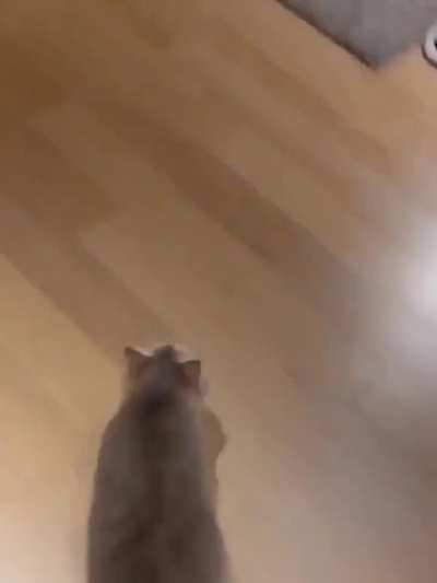 Watch this jump human