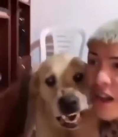 Beatboxing with a doggo! (Earphones recommended)