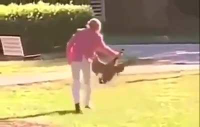 The wrong day. The wrong park. The wrong woman. The 14 second story of exactly how one goose fucked around and found out.