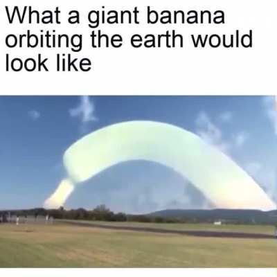 The scientific video you didn‘t know you needed today.