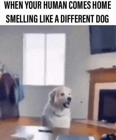 I am betrayed