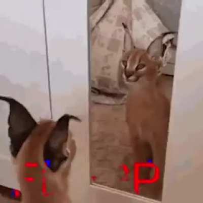 what day is it again
