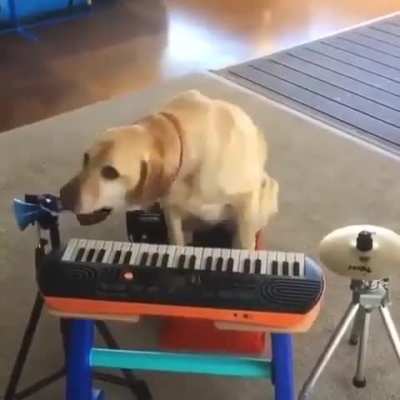 one wunk band