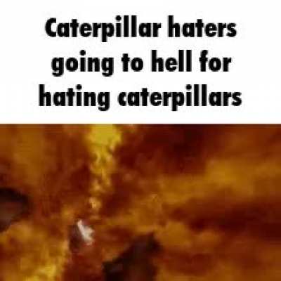 Rule