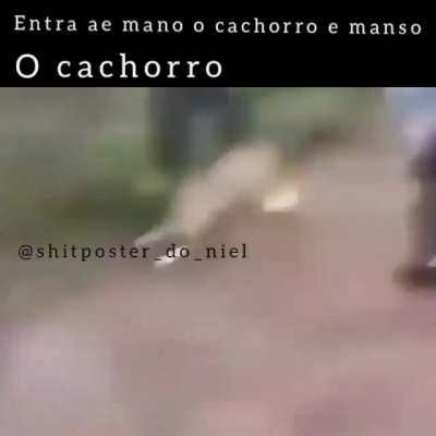 Vou não