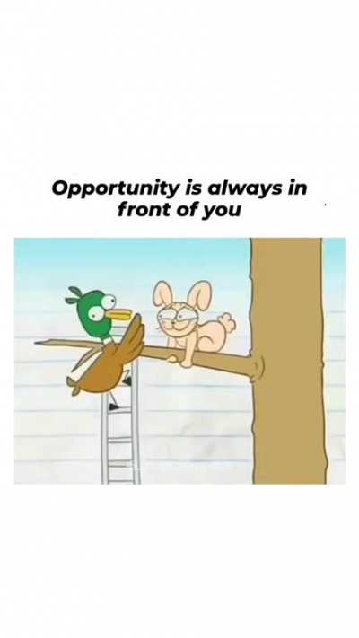 Duck Mindset 💪