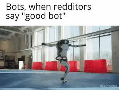 Yes we love you bots