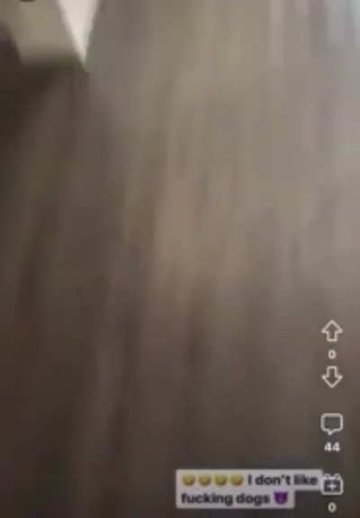 POS kicks tiny dog