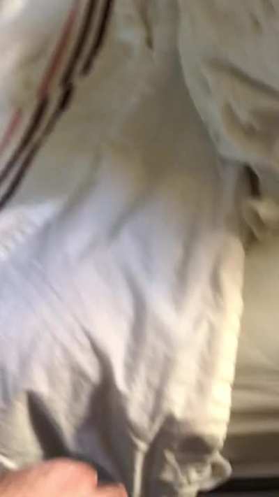 Ready for bed