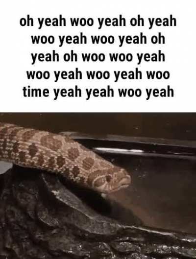 (woo) rule (yeah)