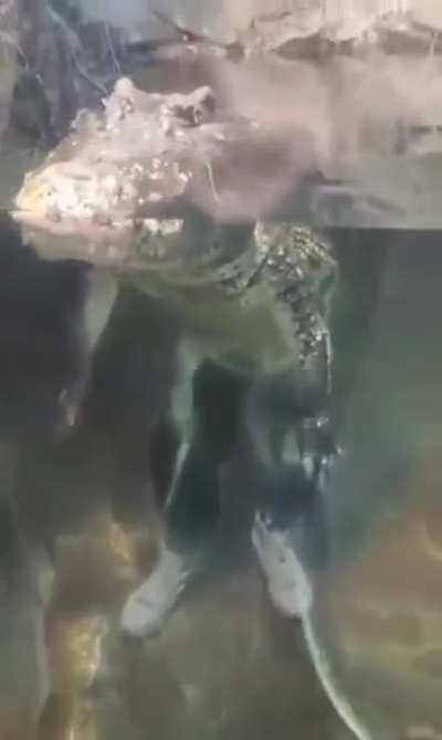 My trip to Florida.