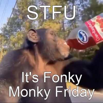 stfu