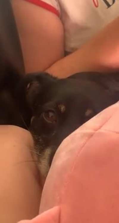 Scared the gf