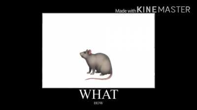 :O (yes I made this)