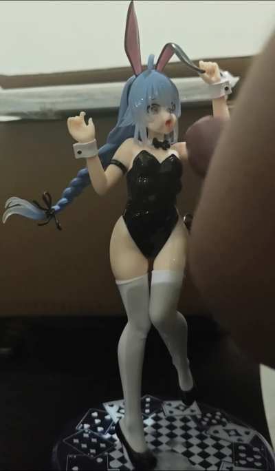 Roxy Bunny Suit