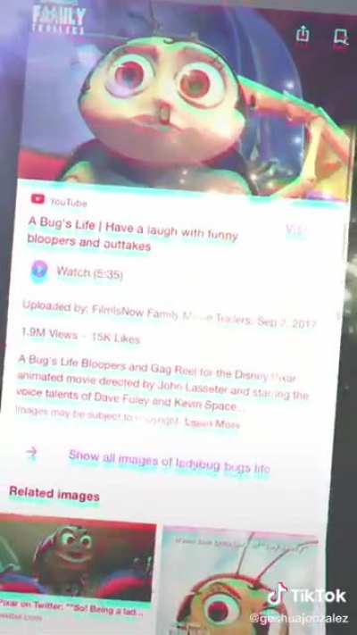 Guy thinks his brother in law looks like a character from Bug’s Life