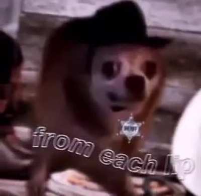 He’s an outlaw