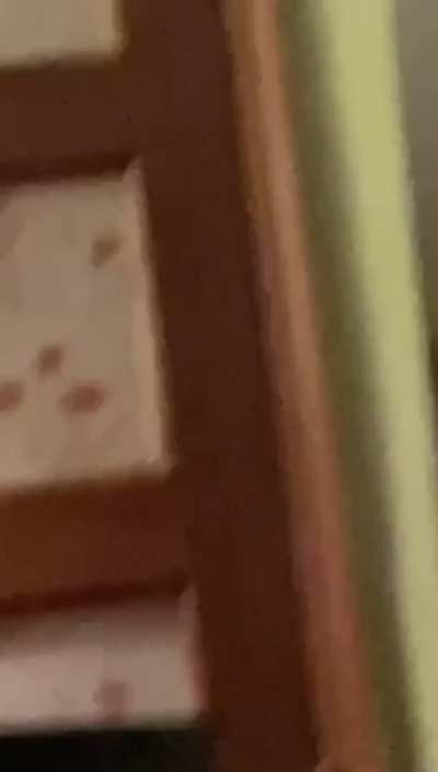 Anal @whit<wbr>egirl<wbr>demon