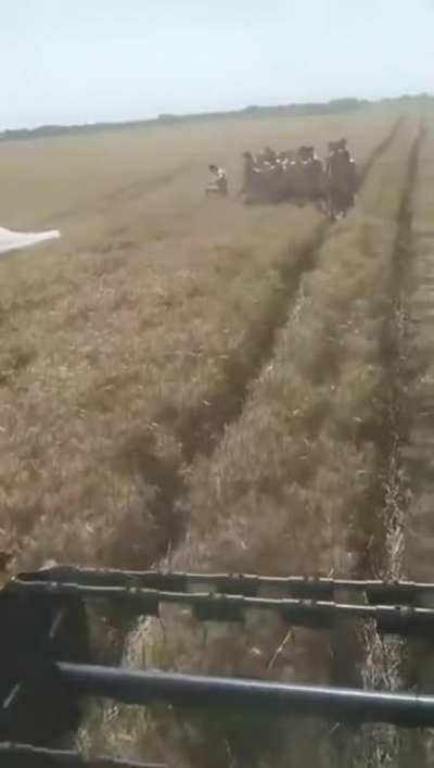 Очень странные дела