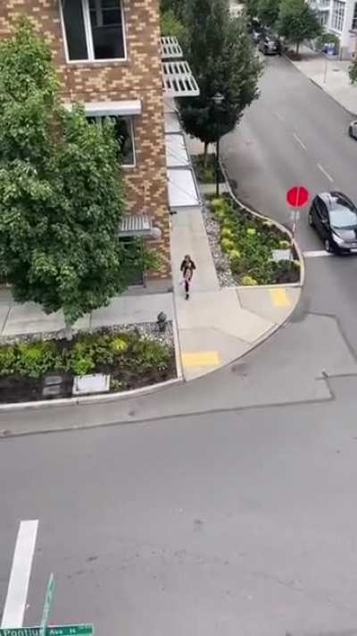 Lady quickly regrets throwing rock at an old lady
