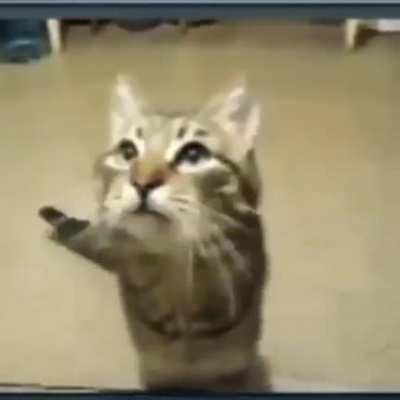 mrow
