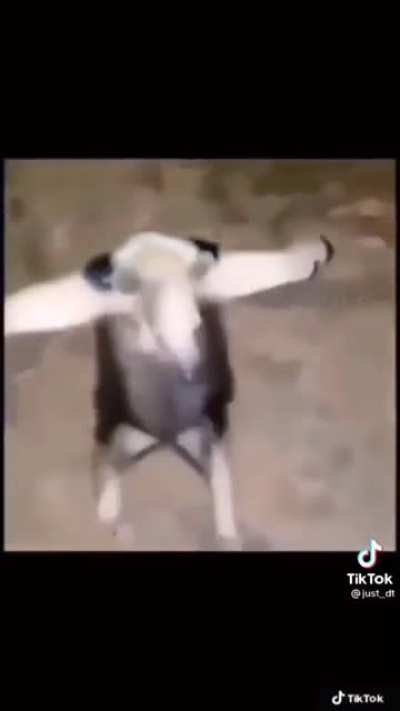 Len