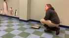 what it looks and sounds like when a penguin is getting weighed