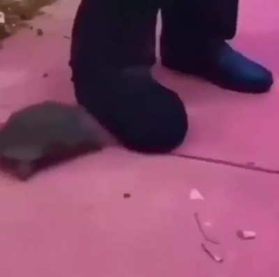 Hmm