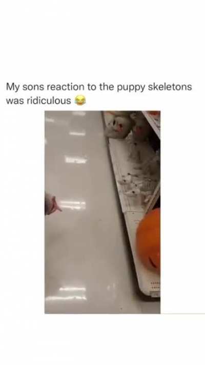 If this was already posted just lmk and I’ll take it down
