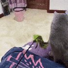 From playful to betrayal in a heartbeat