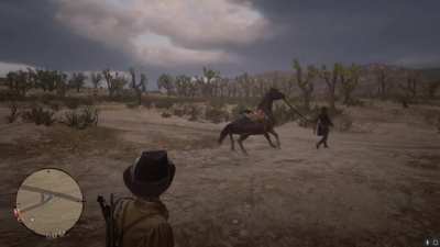 When your horse doesn’t want to go for a walk